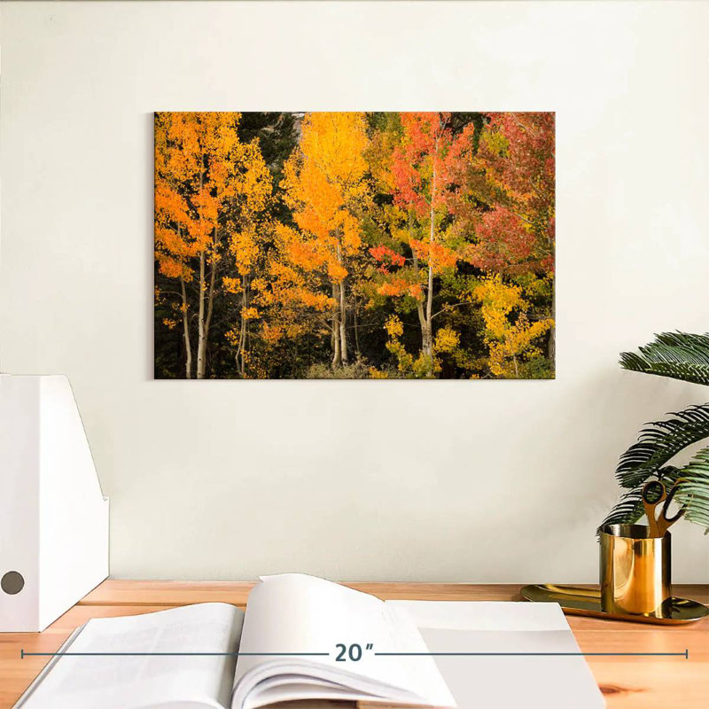 Harnek Aspen aux teintes d'automne, H 8 po x l 12 po