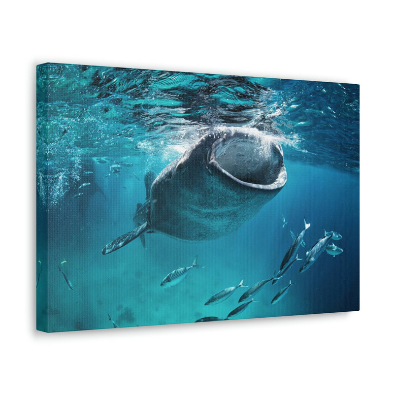 No Frame Print on Canvas, 30.48cm H x 40.64cm W