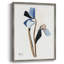 Reproduction encadrée FLORAL Series DxxII - bois massif-1635574470
