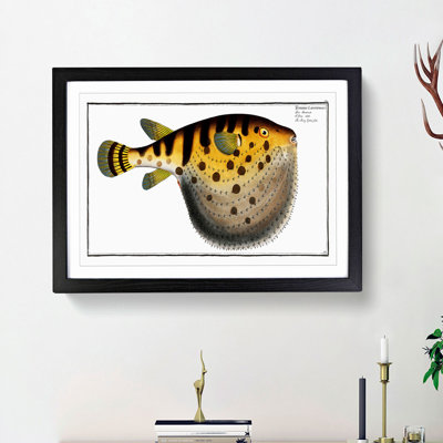 Pufferfish by M.E. Bloch - Framed Print
