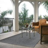 Shag Gray Area Rug
