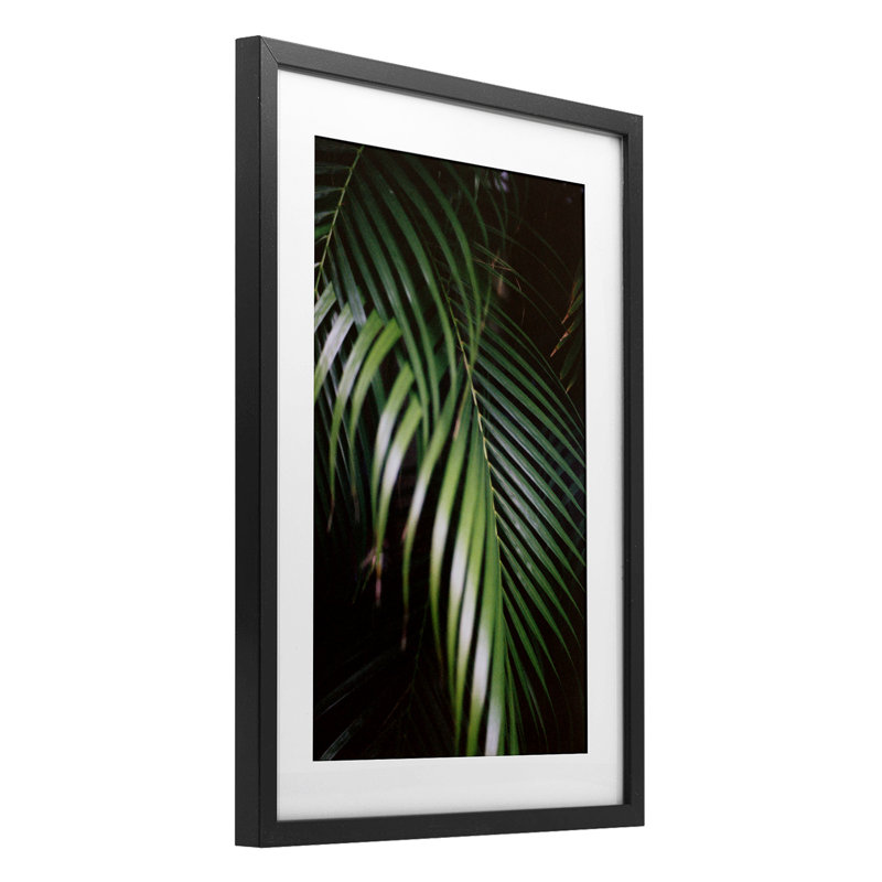 «Palm Leaves Weaving Together», reproduction encadrée sous verre, conception de Jade Sharp Photo, H 20 po x l 14 po, Noir