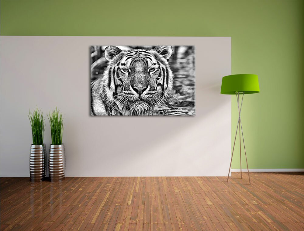 Leinwandbild Tiger im Wasser in Monochrom