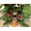 Arrangement floral de poinsettias en pot