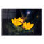 «Night Harvest-C» par Kirk Reinert-904354937