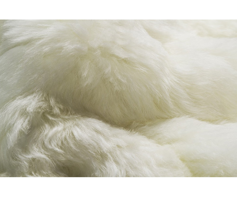 Tapis blanc 2 pi x 3 pi
