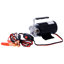 Pompe à eau alimentée par batterie 12 V DC - Mini pompe de transfert de puisard utilitaire portative 1 / 10hp 330gph, avec ensemble de tuyau d'eau et connecteurs en bronze chromé, noir pour usage domestique / utilitaire