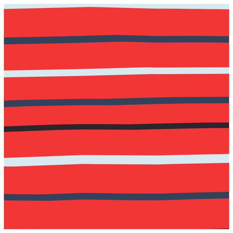 Tapis de bain rouge à rayures noires, 24in W x 17in L