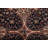 Navy Blue Agra Indian Area Rug 8x10