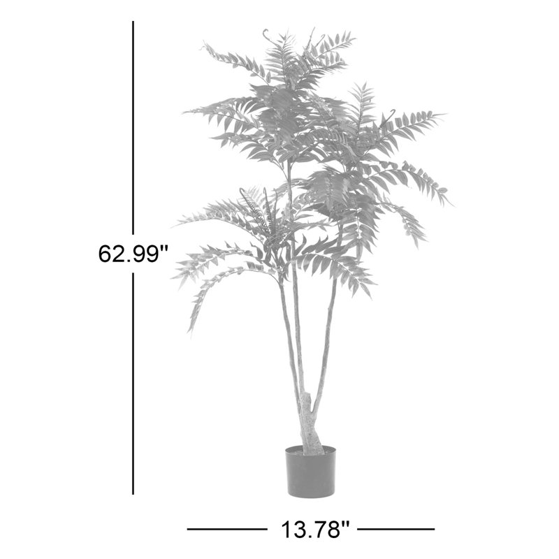 Arbre 62,99 po TOona SINENSIS