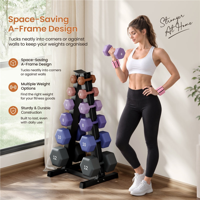 A-Frame Heavy Duty Metal Dumbbell Rack Space Saving Weight Organizer for Home Gym, 6