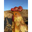 Weather Resistant Metal Garden Statue