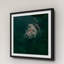 Single Picture Frame Print-18320503