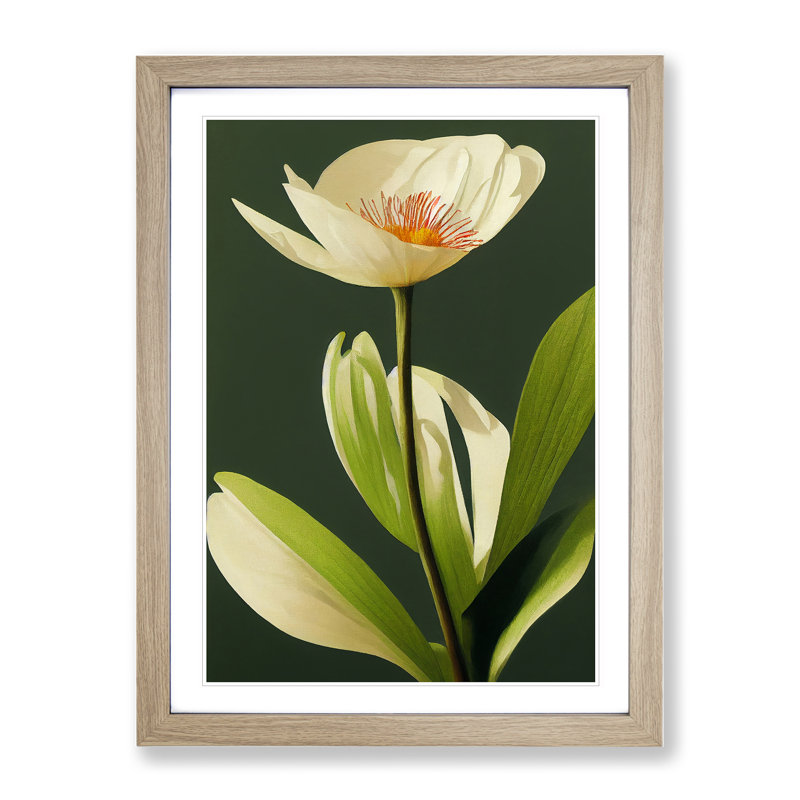 A Seductive Flower - Wall Art, 48cm H x 36cm W, Oak Framed, White