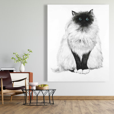 Chat siamois moelleux aux yeux bleus - chambre à coucher décorée sur toile noire