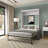 Colquitt Upholstered Murphy Storage Bed-1459067099