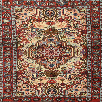 Faycelles Oriental Indoor Rug
