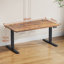Mallus 120CM x 60CM Electric Height Adjustable Standing Desk-1965872733-1903795302
