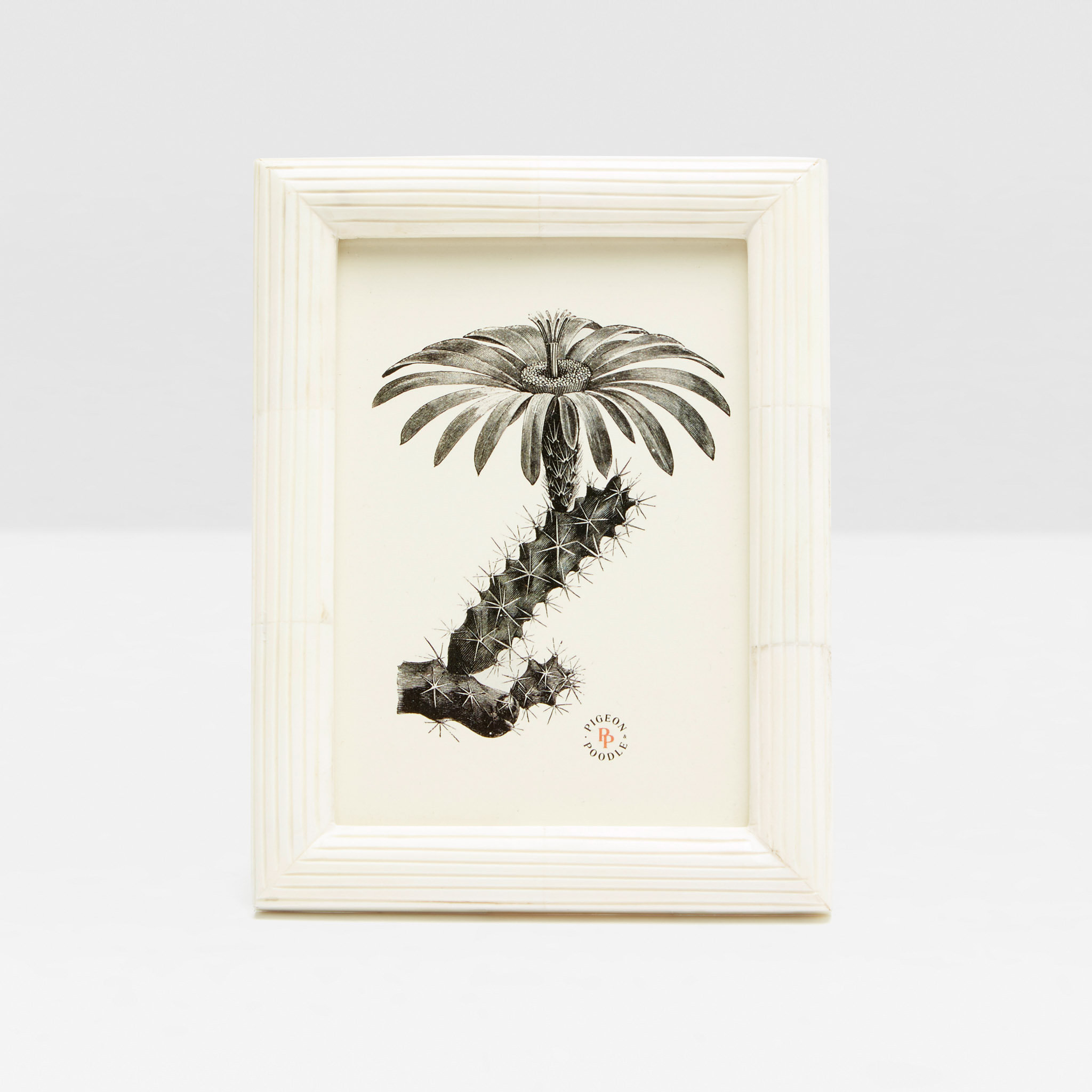 Pigeon & Poodle Velden Picture Frame | 5x7