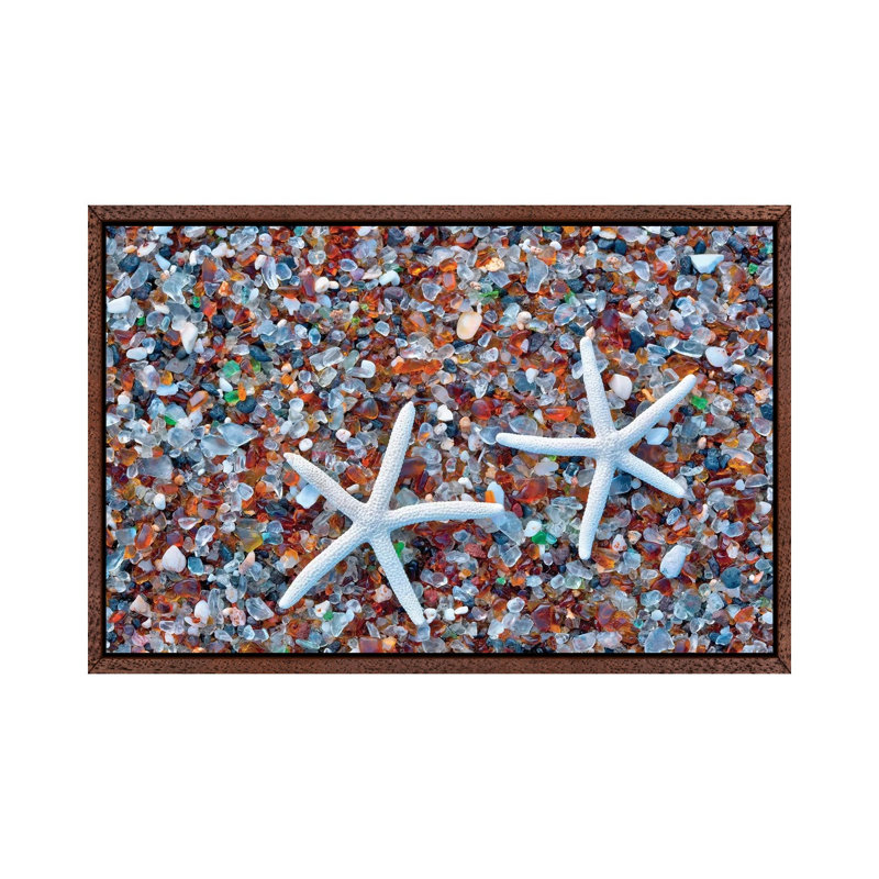 Glass Beach Starfish by Dennis Frates - Print on Canvas, 66.04cm H x 101.6cm W x 3.81cm D, Classic Brown Wood Framed