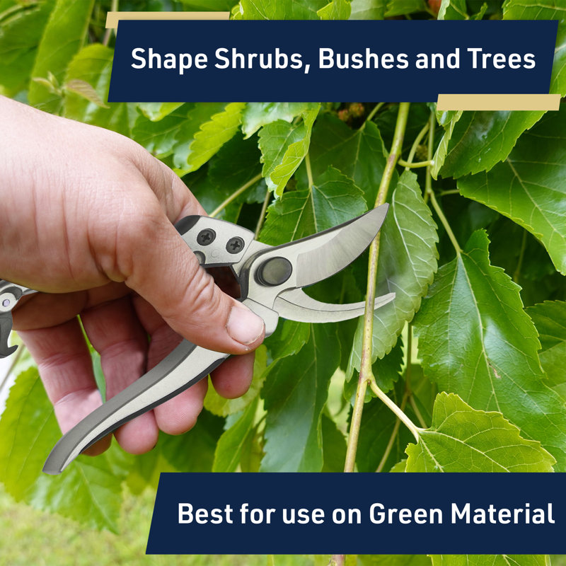 Bypass Pruning Shears for Gardening - 8” Heavy Duty Garden Shears - Spring-Loaded Snap Catch and Ergonomic Grips - Ultra Sharp Rust Resistant Trimming Scissors - Gardening Tools by Kings County Tools