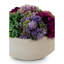 Arrangement floral en pot Artful Interiors-1029205107