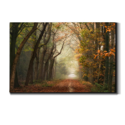" Path Of Dreams "