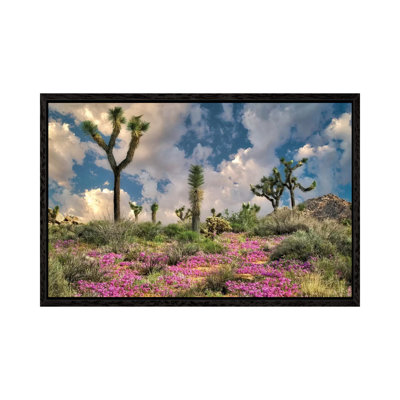 Desert Bloom 1 Piece Wall Art on Canvas