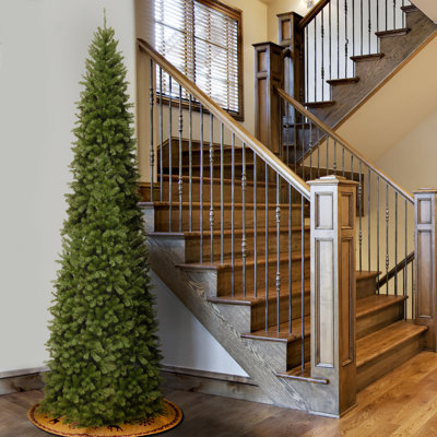 Épinette effilée North Valley Spruce