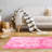 Belgard Indoor Rug-2121867319