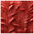 Dark Red Medium Red