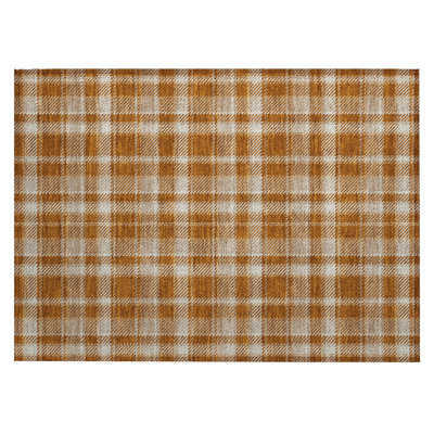 Washable Plaid Indoor / Outdoor Rug