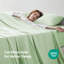 Ensemble de draps Sleep Zone-116843171-116843180
