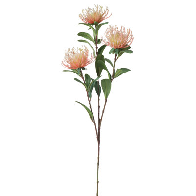 Protea Floral Stems