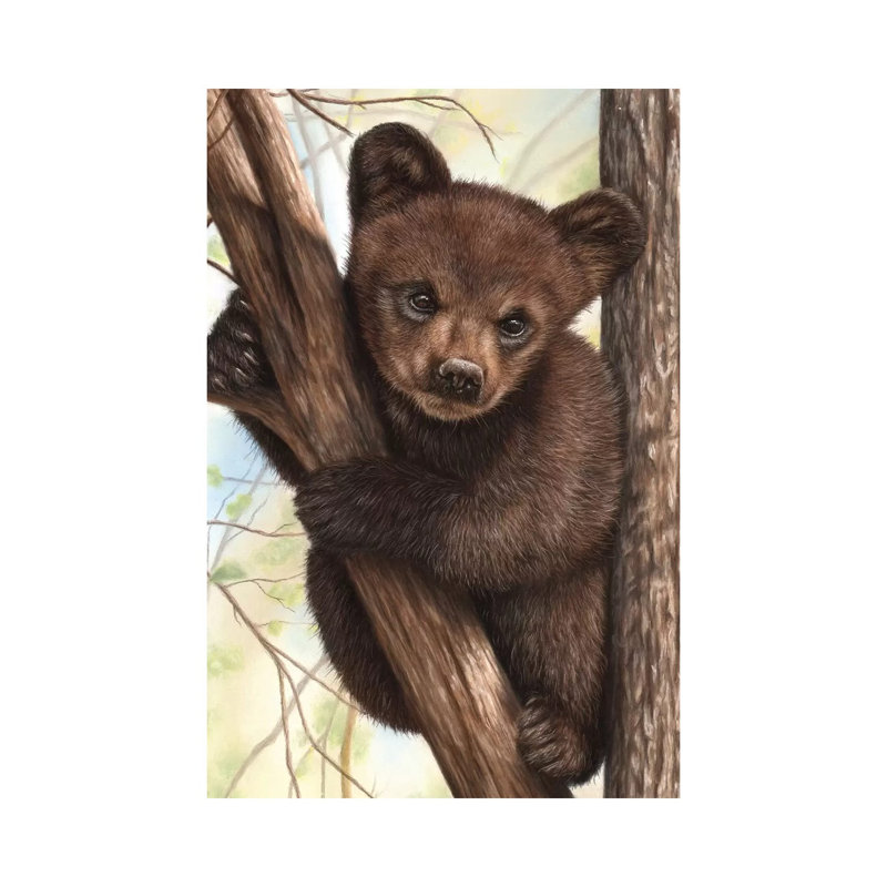 Bear Cub by Richard Macwee - Wrapped Canvas Print, 152.5 cm H x 101.5 cm W