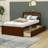 Dishad Twin Size 2 Drawers Wood Platform Bed with Headboard-106498034