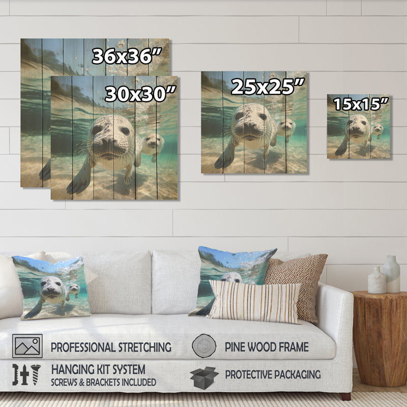 Lions de mer au jeu III - phoque / otarie marine sur bois, H 15 po x l 15 po