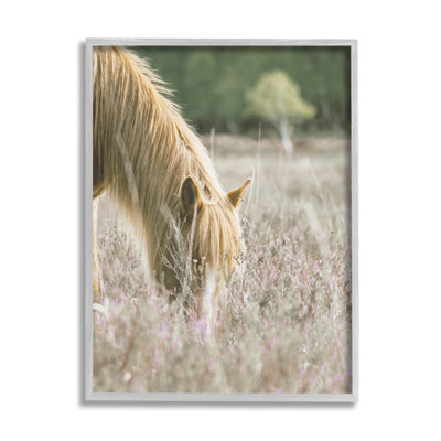 " Peaceful Palomino Horse Grazing Countryside Meadow " Color Photography Print