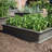 Raised Garden Bed (1 Bed, No Enclosure)