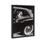 Oliver Gal Convertible Feline I Animals - Luxury Shadowbox Framed Wall Art-1951594137-1951594136