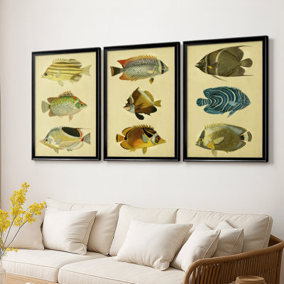 Trio de poissons tropicaux I - Toile tendue avec châssis sur mesure - 3 pièces