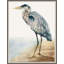 Water Bird 2 Print