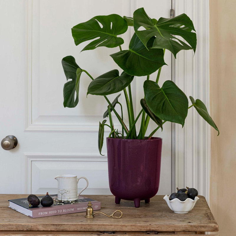 Ceramic Cachepot, Plum