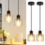 Digiacomo 2 - Light Transparent Drum Pendant
