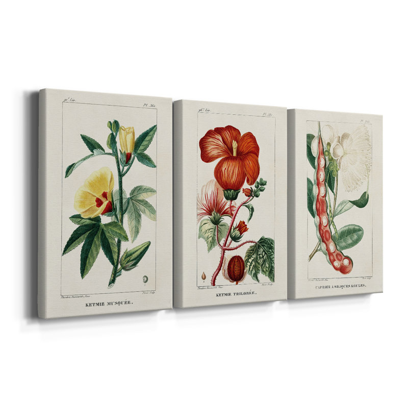 Turpin Tropical Botanicals VI - Toile tendue avec châssis sur mesure - 3 pièces, H 60 po x l 120 po