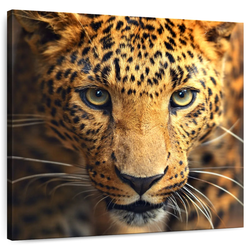 Brampt Leopard Portrait, 10" H x 10" W