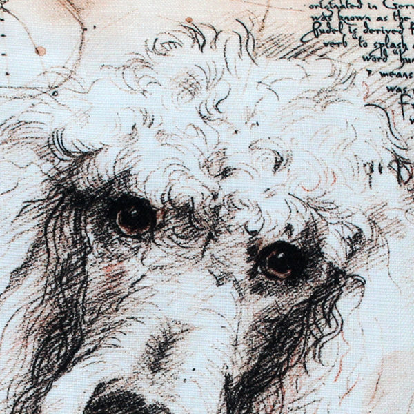  Coussin décoratif intérieur / extérieur Poodle Dog