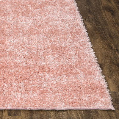Jaxzon Solid Colour Shag Area Rug