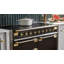 Elise 48" Range-348013290-348013280