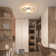 Double 2-Light LED Flush Mount Ceiling Light